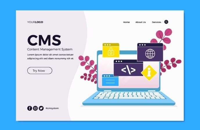 CMS Integration (WordPress, Webflow)
